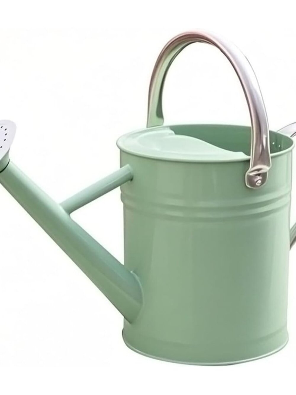 Metal Watering Can 1 Gallon for Outdoor Garden Plants, CGreen
